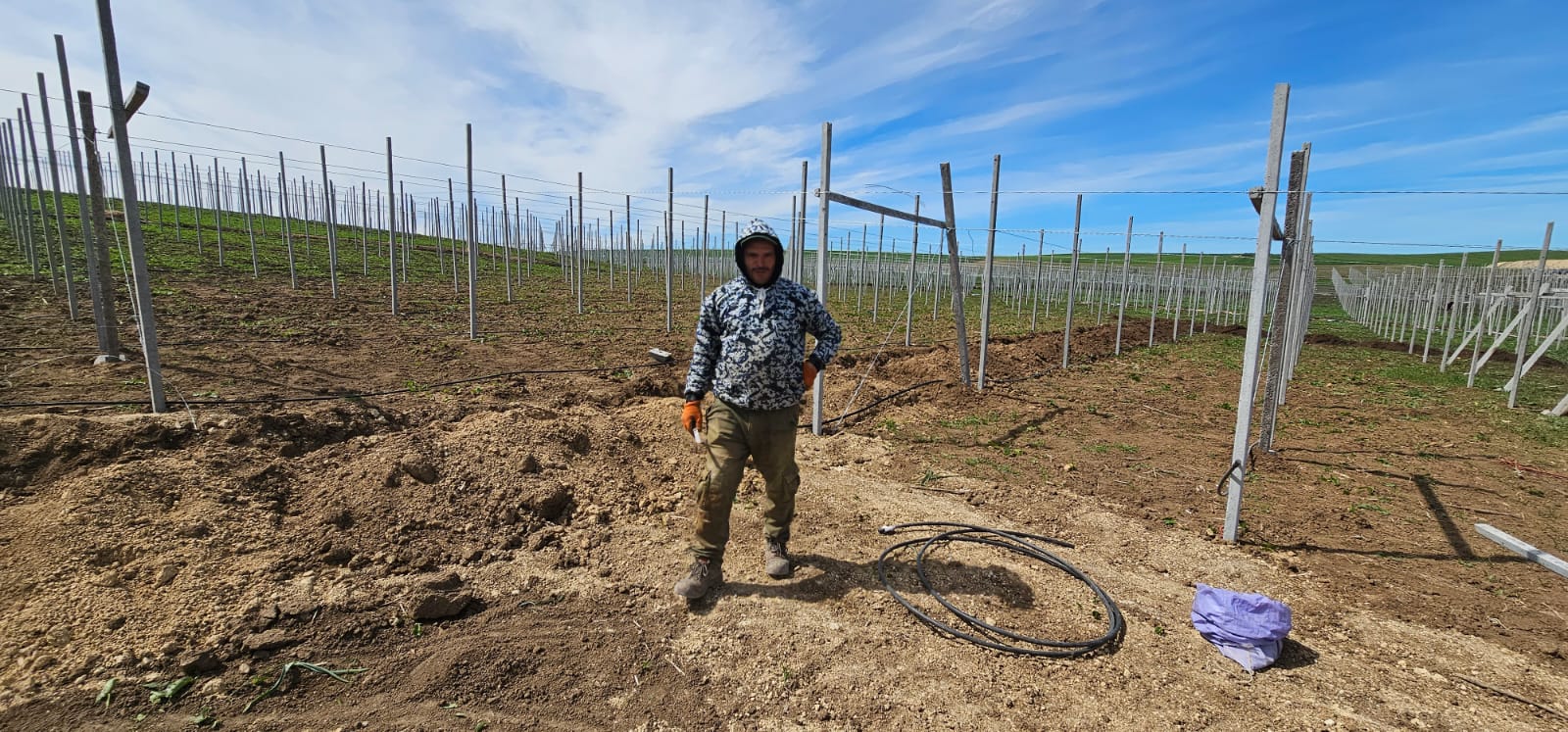 Installation de structures de support pour vignoble